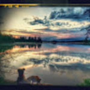 Meet your Posher, Bobbie